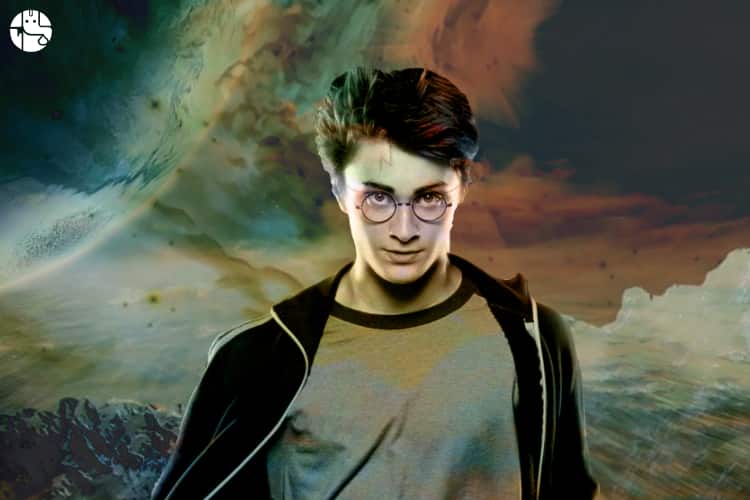 Harry Potter's Spiritual Journey