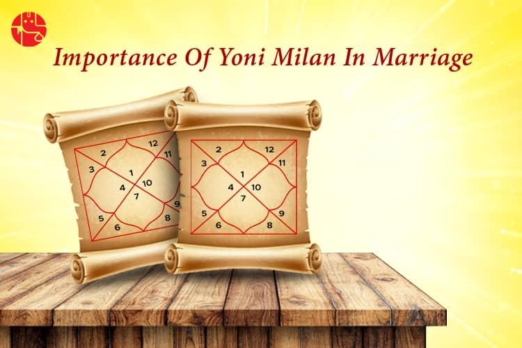 Importance Of Yoni Matching For Marriage In Kundali - GaneshaSpeaks