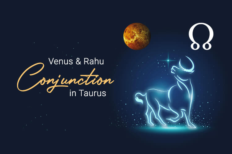 Venus Rahu Conjunction in Taurus