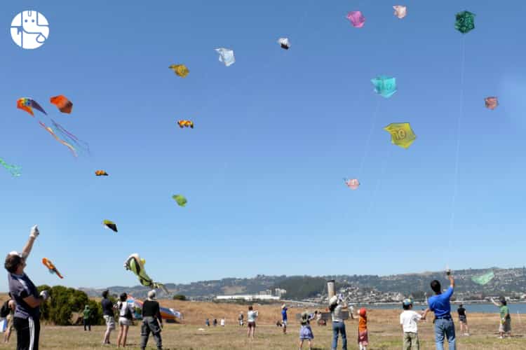 Celebrate Kite-Flying